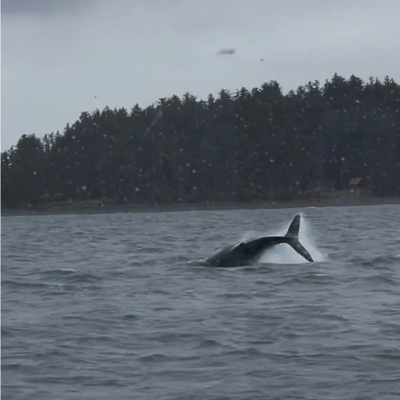 Tues4/7 Hand Crafted Upcycled Vintage 5pm et❤️SHERRYC68 IS LIVE❤️Tray Open Add 2 - Picture 13 of 16